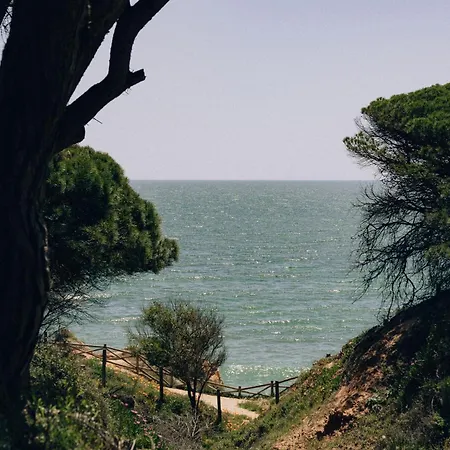 Masana Algarve, Destination By Hyatt Üdülőpark