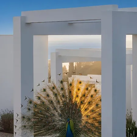 Masana Algarve, Destination By Hyatt 4* Албуфейра
